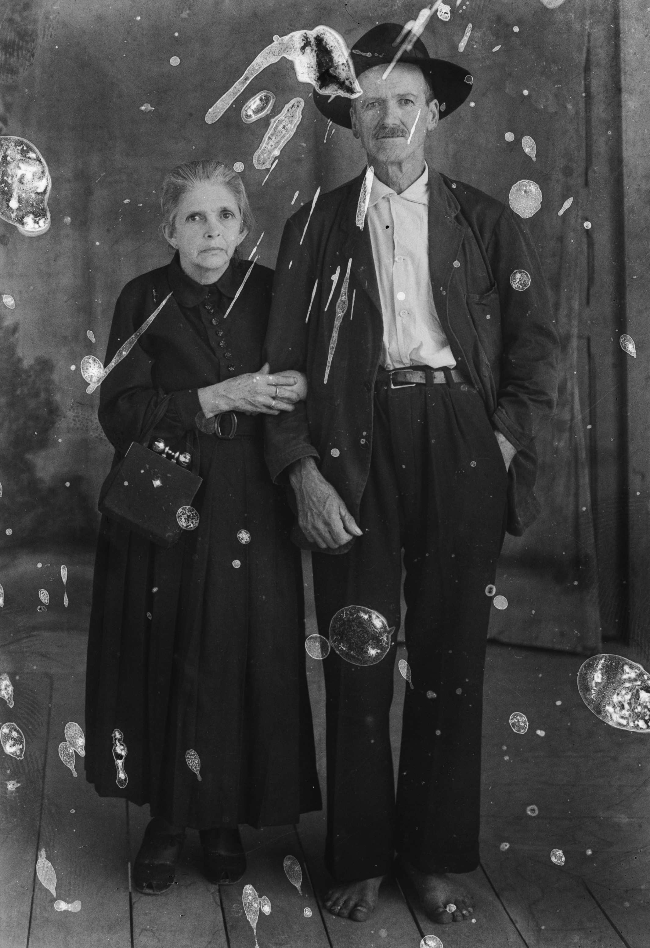 Matrimonios - 480